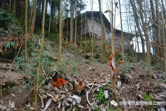 精准扶贫送温暖 华核真情暖人心(图10)
