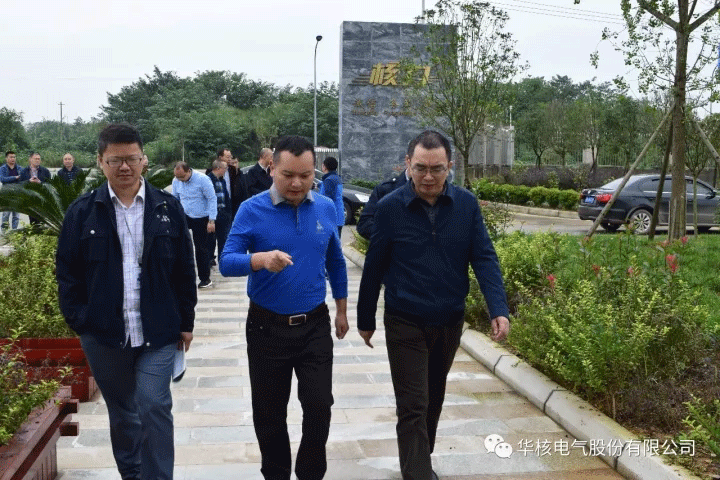 绵阳市政府罗副市长一行莅临公司检查指导工作(图2)