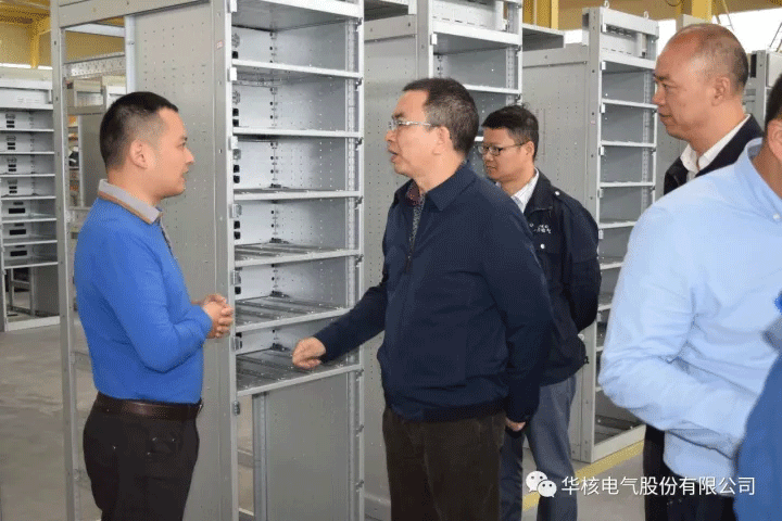 绵阳市政府罗副市长一行莅临公司检查指导工作(图6)