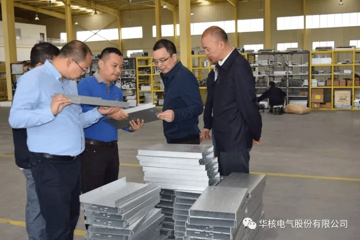 绵阳市政府罗副市长一行莅临公司检查指导工作(图7)
