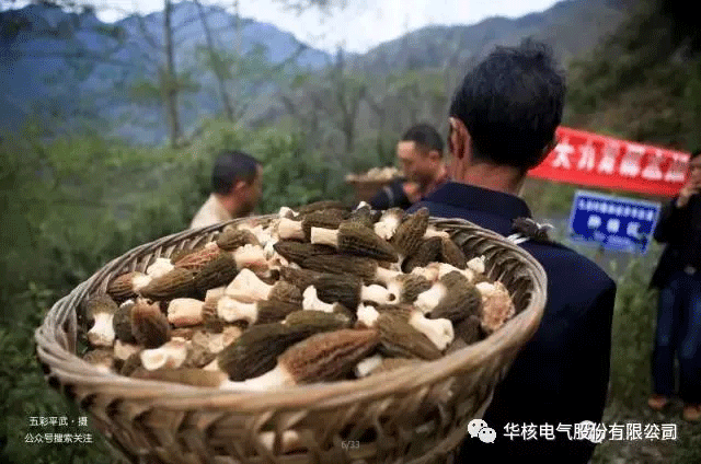 精准扶贫送温暖 脱贫攻坚见成效(图3)