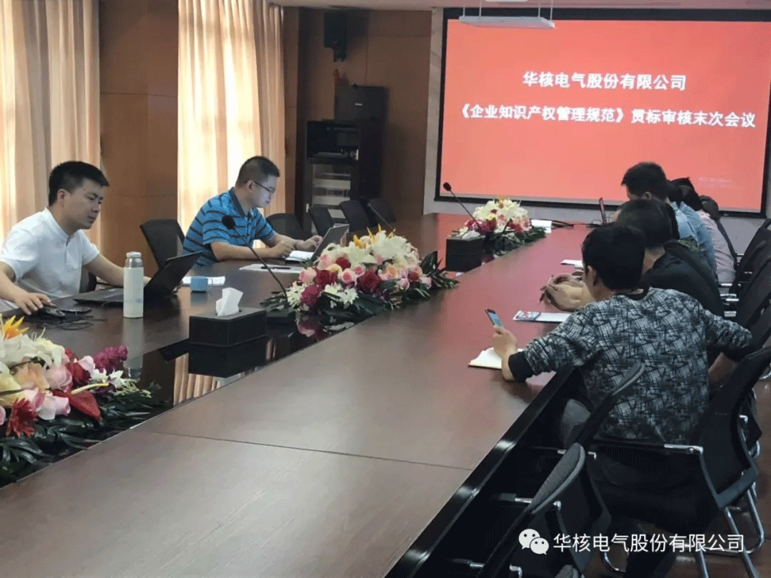 华核电气顺利通过《企业知识产权管理规范》贯标认证(图6)