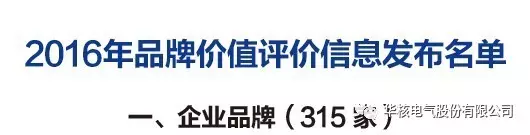 华核电气自主创新品牌价值3.41亿元(图4)